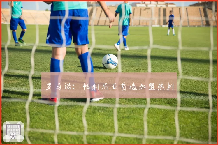 罗马诺：帕利尼亚首选加盟热刺