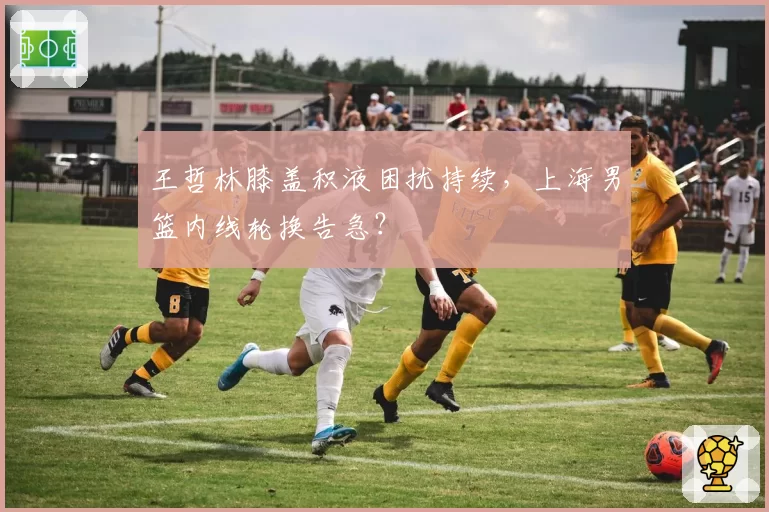 王哲林膝盖积液困扰持续,上海男篮内线轮换告急?